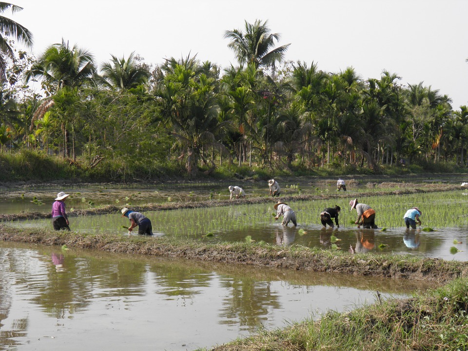 “สานพลังประชารัฐ” เชียงใหม่ ตั้งธง Eco City ฟื้นเศรษฐกิจฐานราก