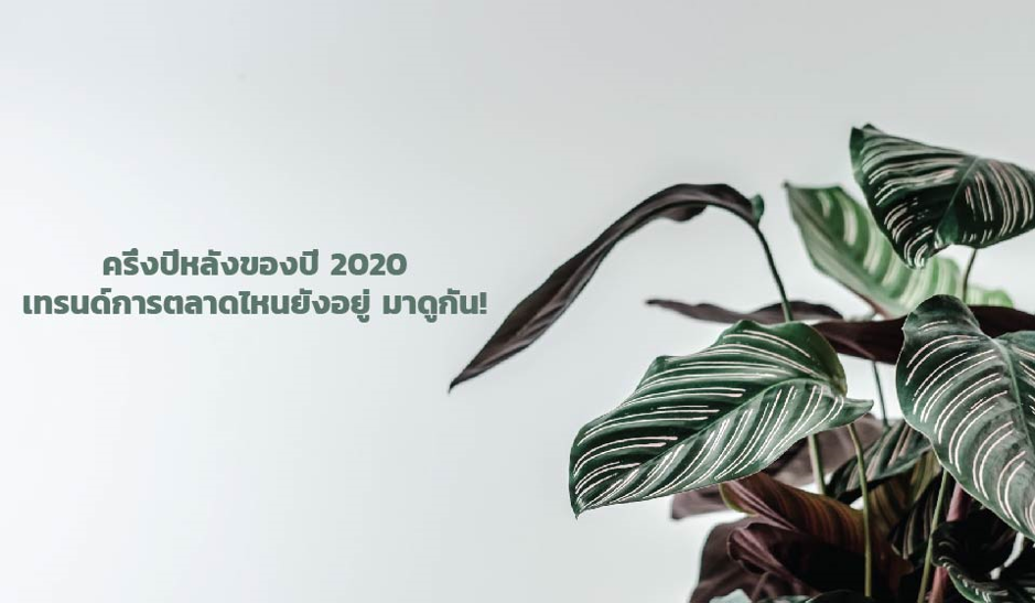 ครึ่งปีหลังของปี 2020 เทรนด์การตลาดไหนยังอยู่ มาดูกัน!