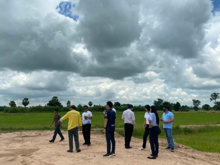 พานิชย์บุรีรัมย์ลงพื้นที่ดูข้าว พานิชย์บุรีรัมย์ลงพื้นที่ดูข้าว