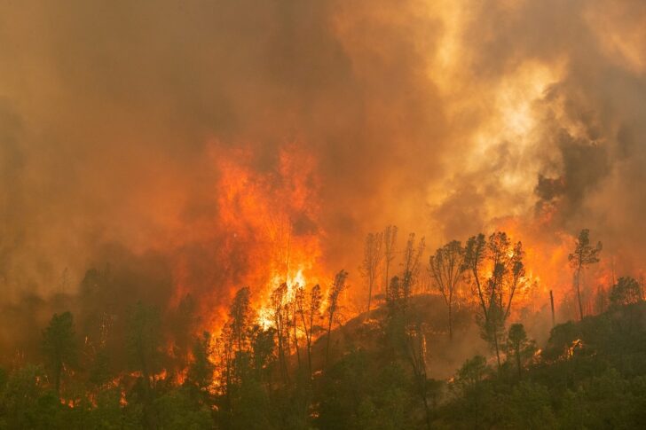 LNU Lightning Complex Fire engulfs a ridge line near Aetna Springs, California