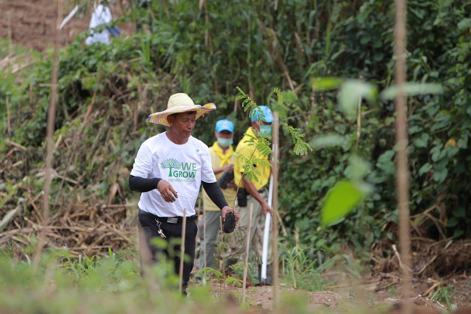 กางแผนซีเอสอาร์ “ซี.พี.” ปลูกป่าลดคาร์บอนเป็นศูนย์ปี 2030