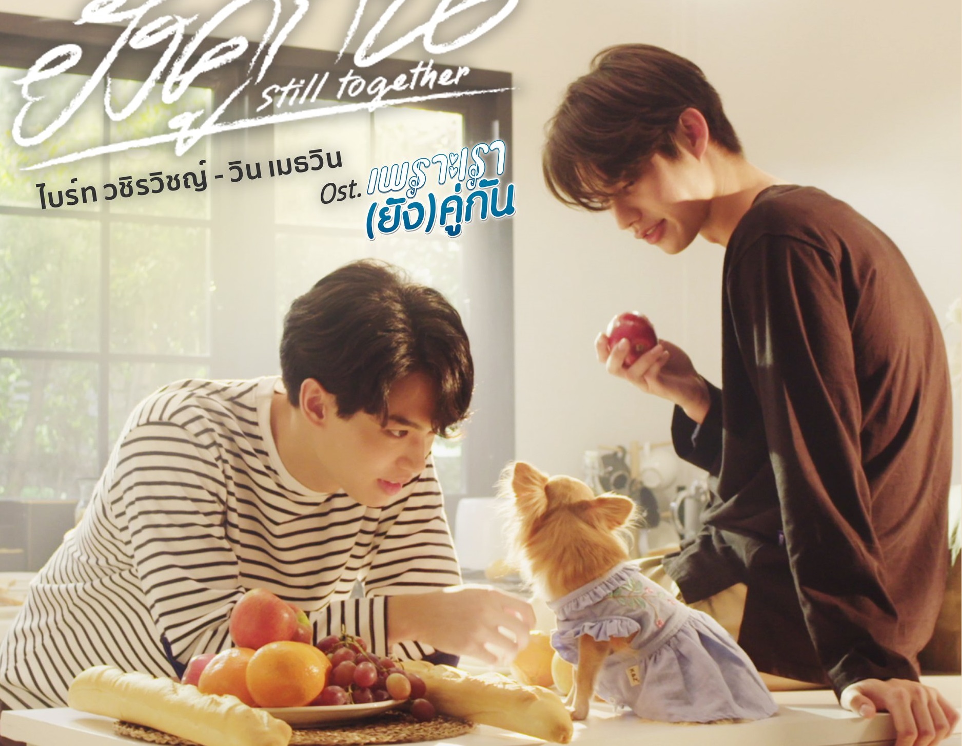 GMMTV บาลานซ์พอร์ตสู้โควิด ปูพรม “ซีรีส์-อีเวนต์” เพิ่มรายได้