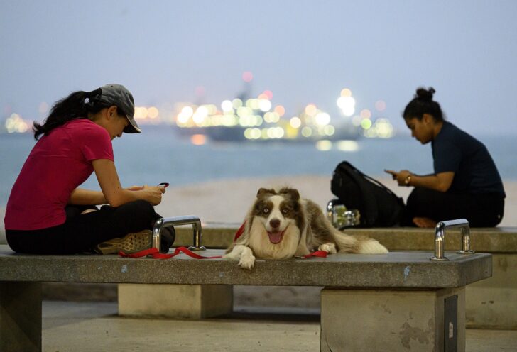SINGAPORE-LIFESTILE