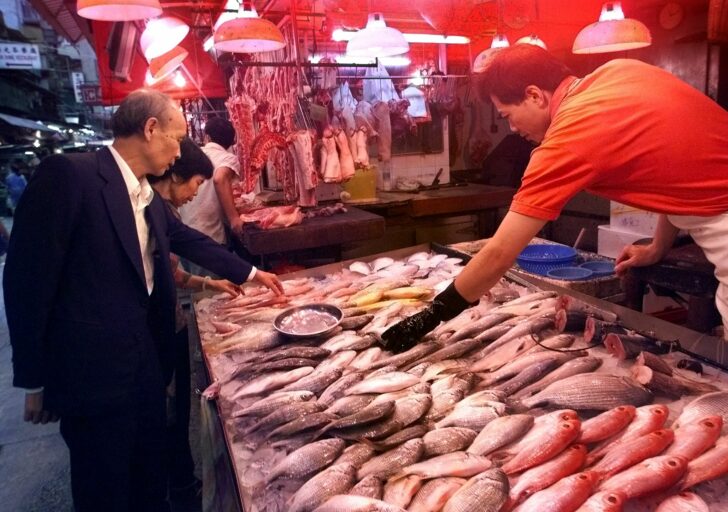 HONG KONG-FISH/2