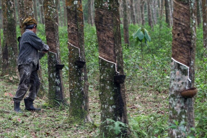 THAILAND-FINANCE-ECONOMY-COMMODITIES-RUBBER