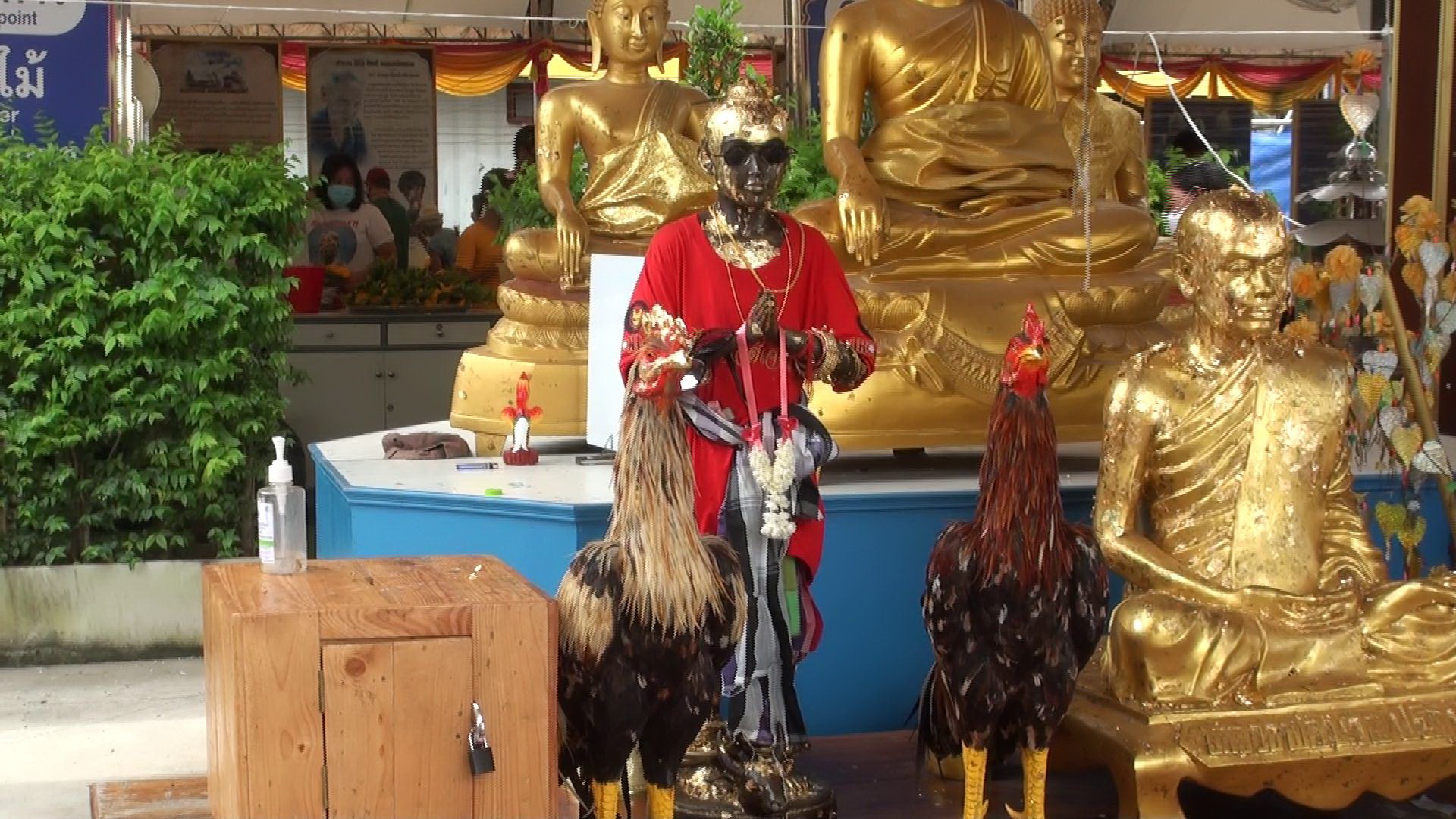อานิสงส์ศรัทธา “ไอ้ไข่ เด็กวัดเจดีย์” ท่องเที่ยว-เศรษฐกิจเมืองคอนบูม