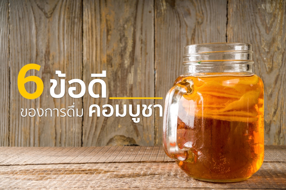 kombucha วิธีทํา