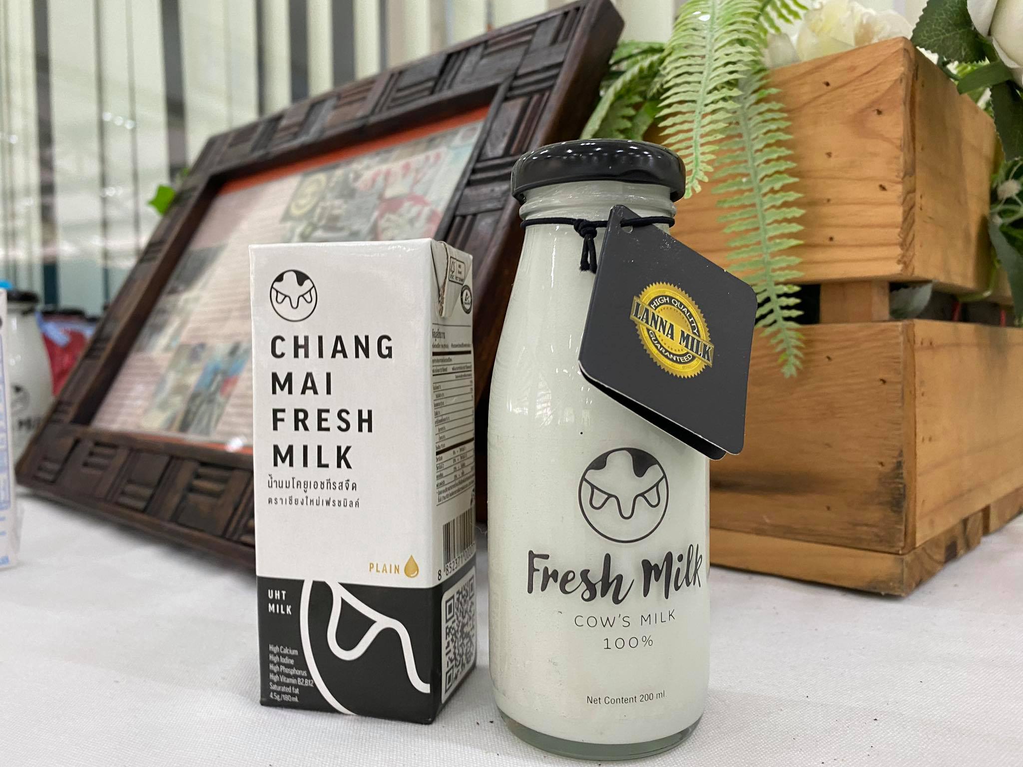 “เชียงใหม่เฟรชมิลค์” รุกอาเซียน เล็งใช้ FTA ดันส่งออกผลิตภัณฑ์นม