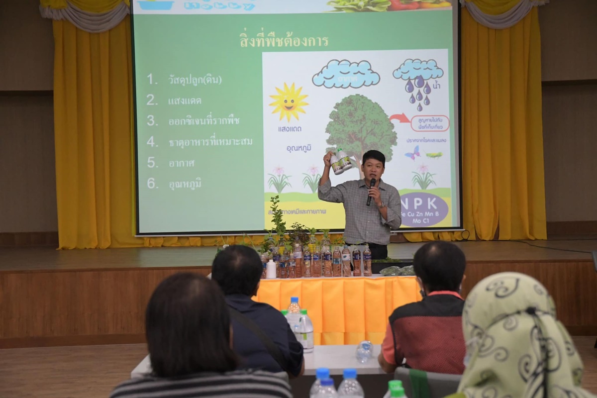 โครงการปลูกผักไร้ดิน “ที่ว่าง กินได้” จัดโดย รฟม.