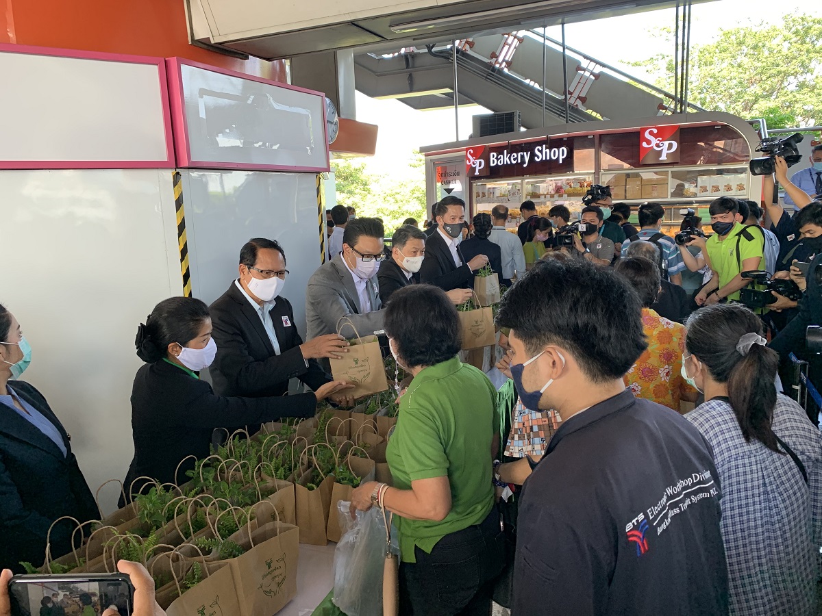 “บีทีเอส” แจกต้นไม้ฟรี 2 หมื่นต้น “วันโอโซนโลก” สถานีหมอชิต-ห้าแยกลาดพร้าว