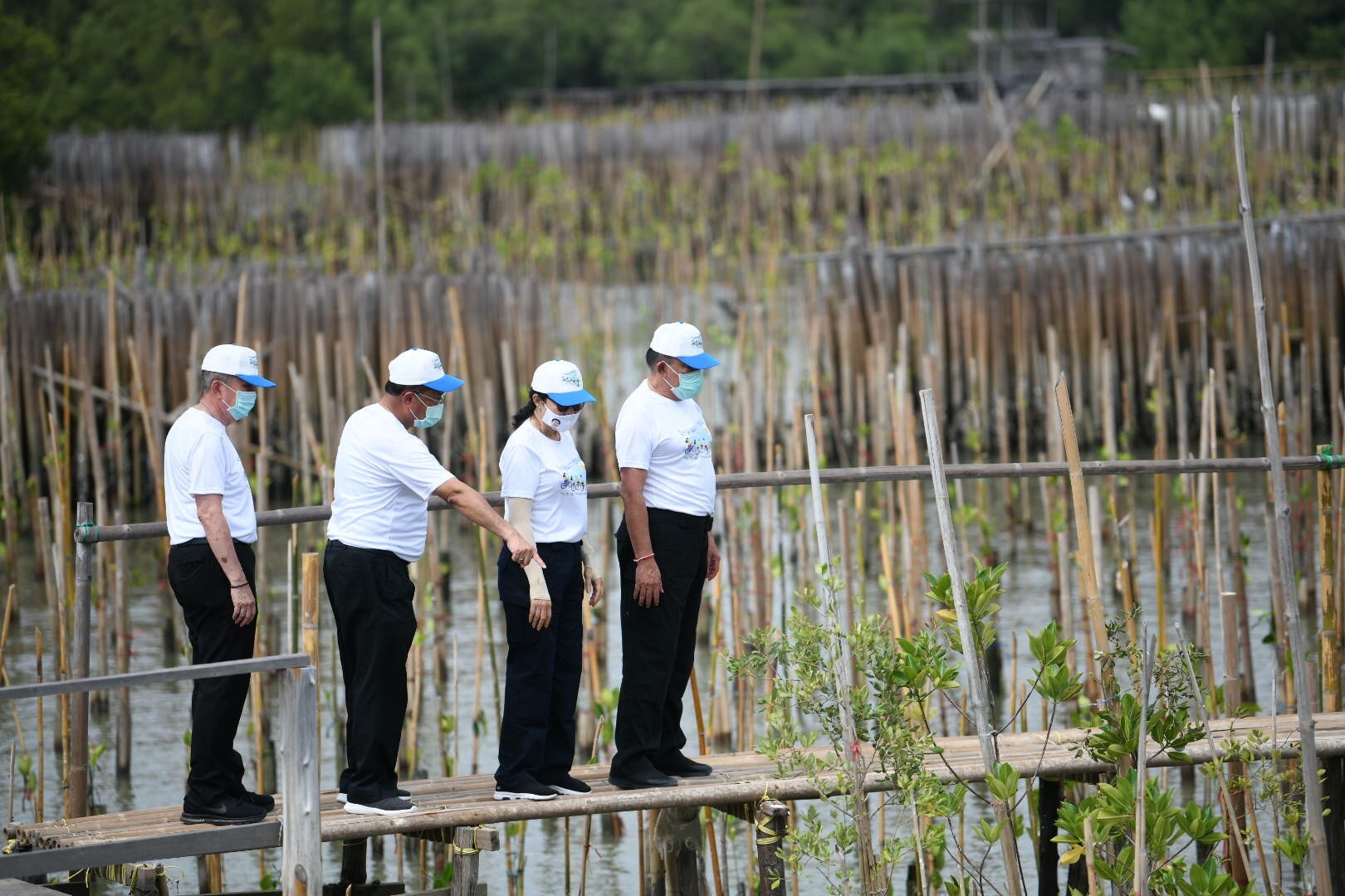 เปิดแล้ว “สะพานรักษ์ทะเลบางขุนเทียน” แหล่งท่องเที่ยวแห่งใหม่ใกล้เมืองกรุง