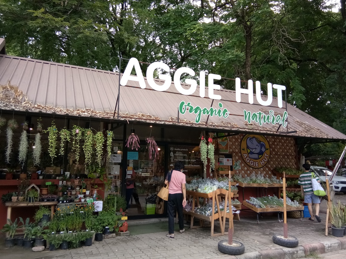 “Aggie Hut” เชียงใหม่ ร้านออร์แกนิกไซซ์เล็ก…แต่ตอบโจทย์