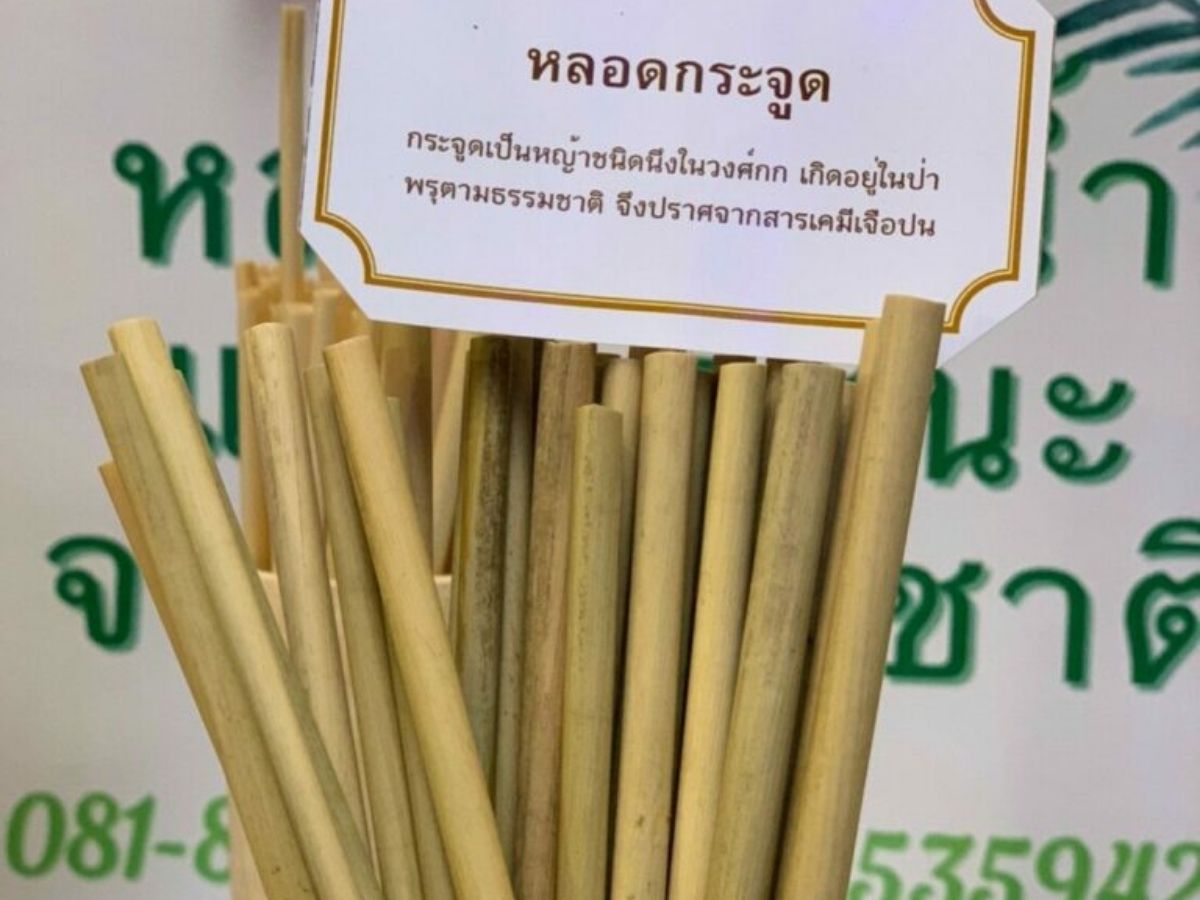 เปลี่ยน “หญ้า” เป็น “หลอดน้ำ” รักษ์โลก-สร้างงานเกษตรกร