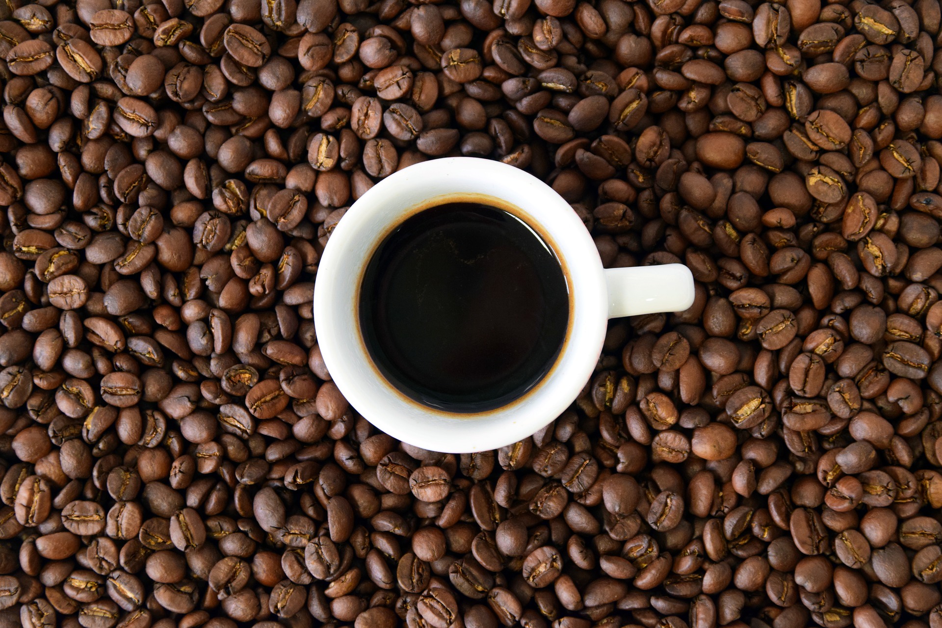 5 เมล็ดกาแฟ ที่ดีที่สุดในโลก ประจำปี 2020