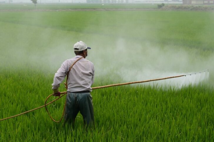 herbicide-587589_960_720-2-768x508 แบน3สารเคมี