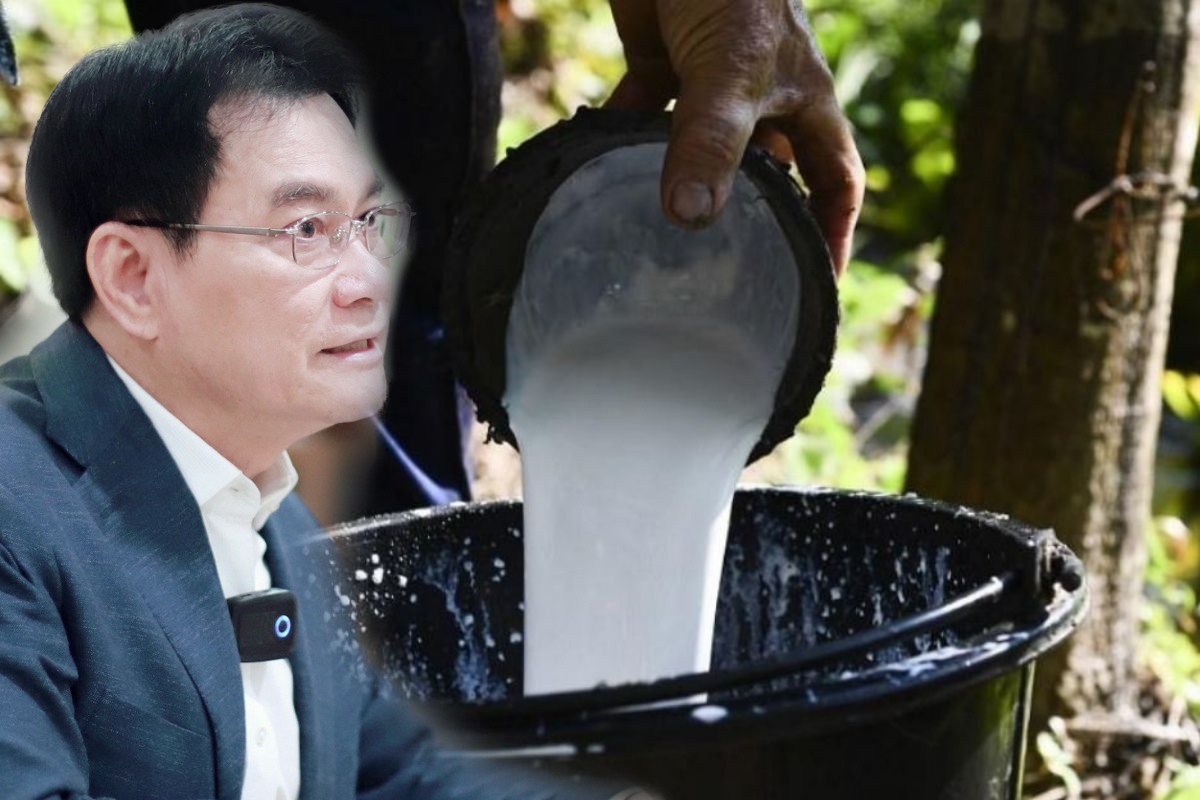 “จุรินทร์” ดันราคายางพารา ลุยจัด Thailand Rubber Expo ธันวาคมนี้