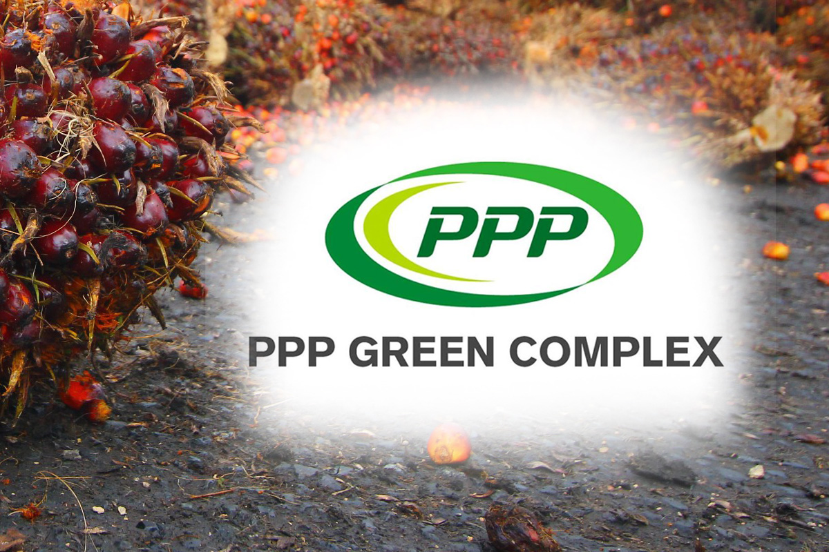 “PPPGC” โชว์ผลงาน ปาล์มคอมเพล็กซ์ คาดรายได้แตะ 6,000 ล้านบาท