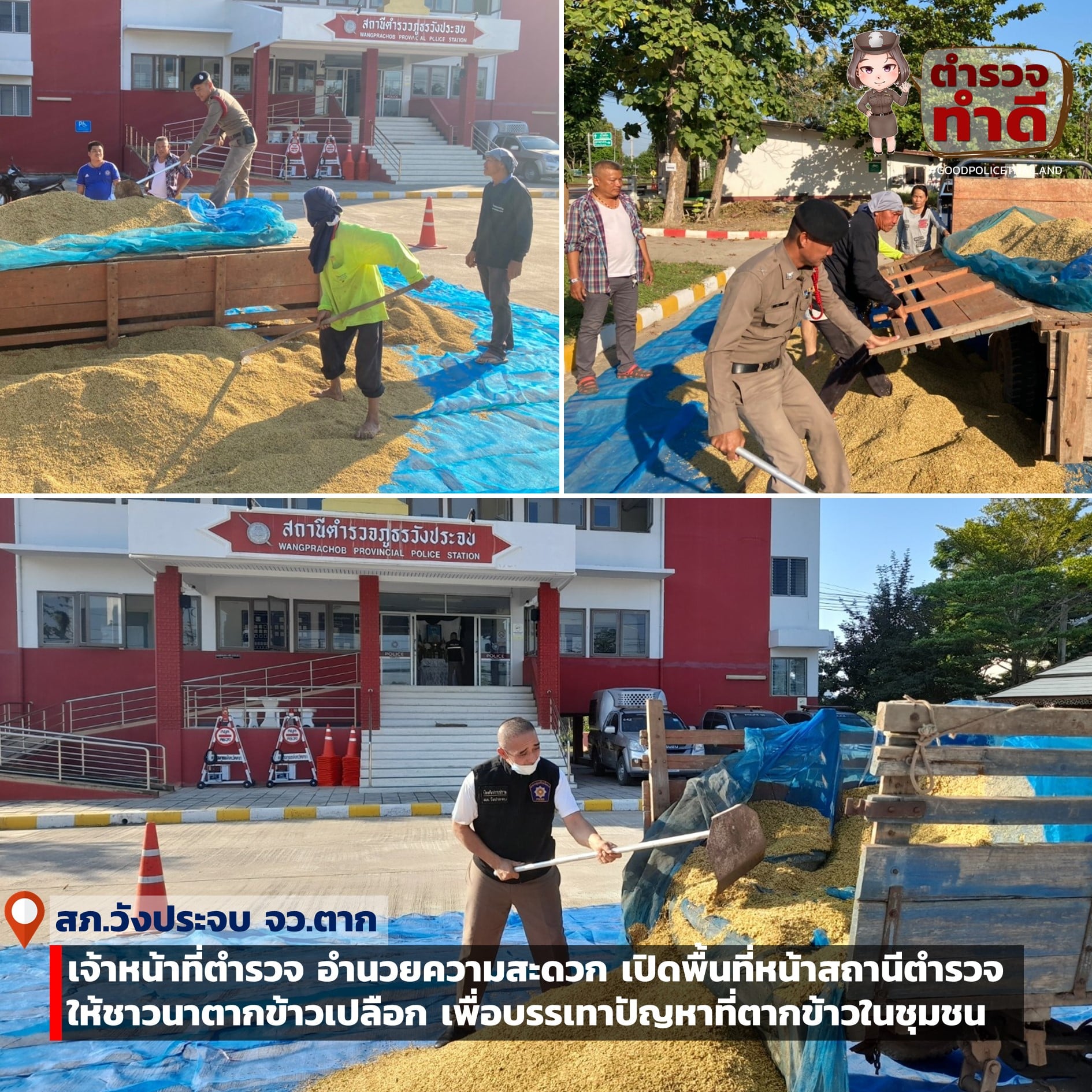 เปิดโรงพักให้ชาวบ้านตากข้าว