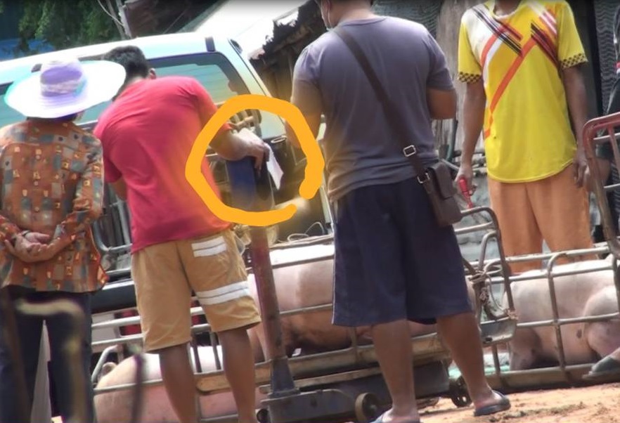 เชือดขบวนการรับซื้อหมูรถเร่โกงเครื่องชั่ง 5 ราย โทษสูงสุดจำคุก 7 ปี