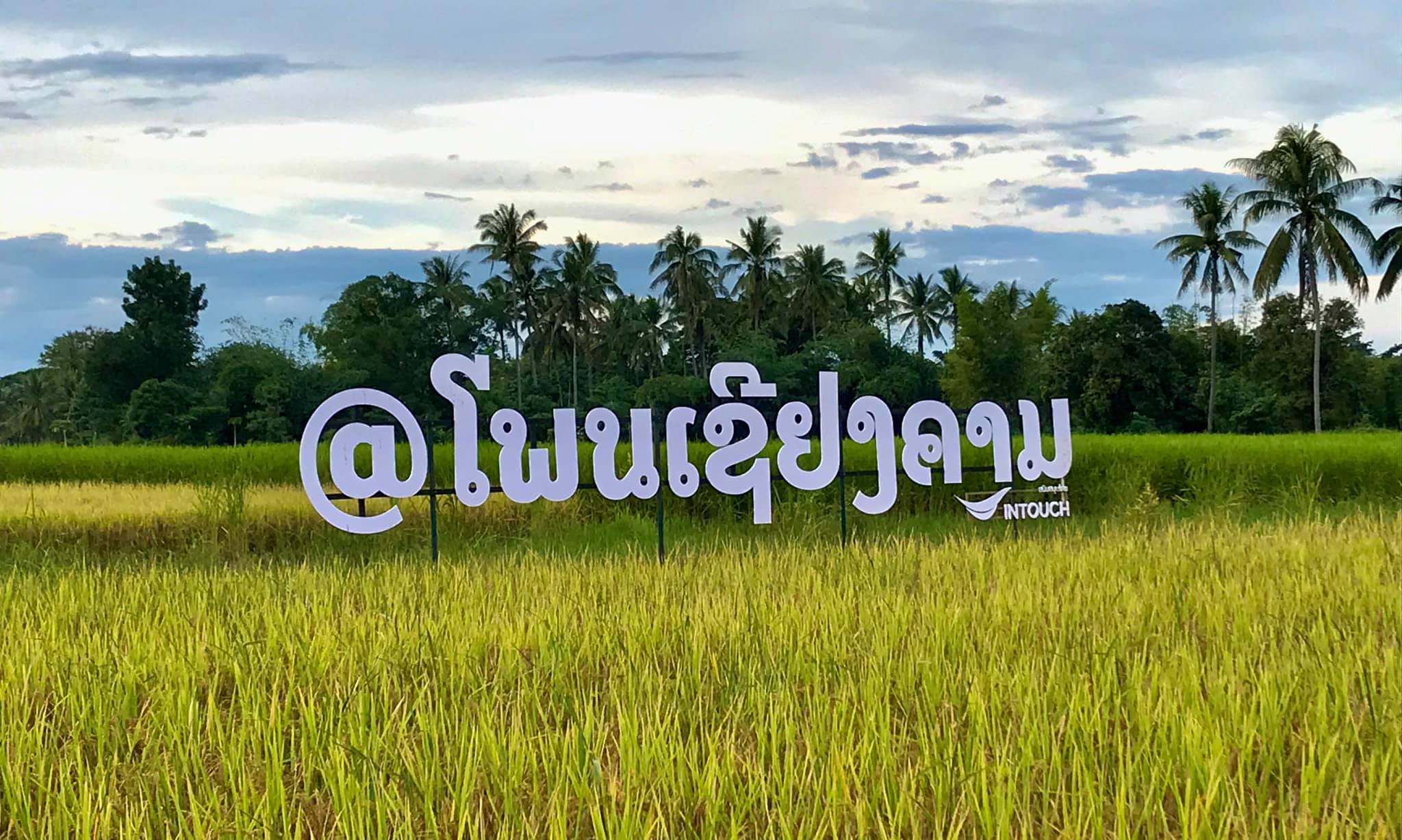 แบรนด์ “โพนเชียงคาม” ต้นแบบเกษตรอินทรีย์แบบมีส่วนร่วม