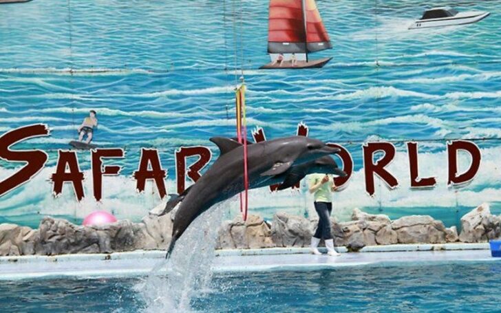 BKK_safari_world-16