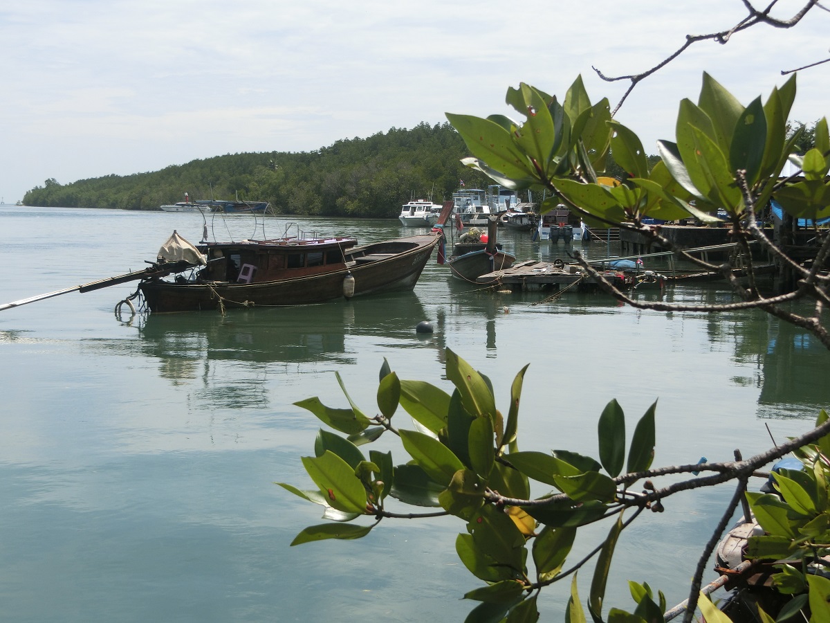 ธนาคารปู บ้านบางโรง จ.ภูเก็ต ตามแนวพระราชดำริ สู้วิกฤตหนี้