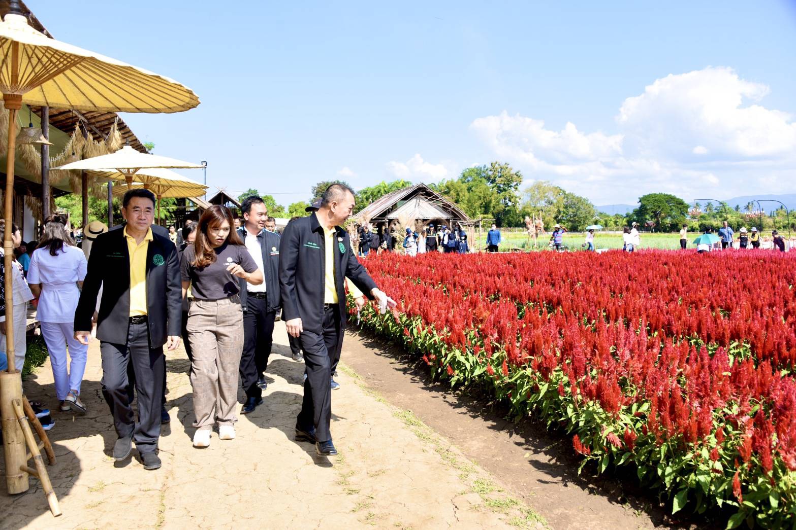 เกษตรฯ ยก อ.แม่ริม ปลูกไม้ดอกส่งออก ปั้นโมเดลชุมชนท่องเที่ยวเชิงเกษตร