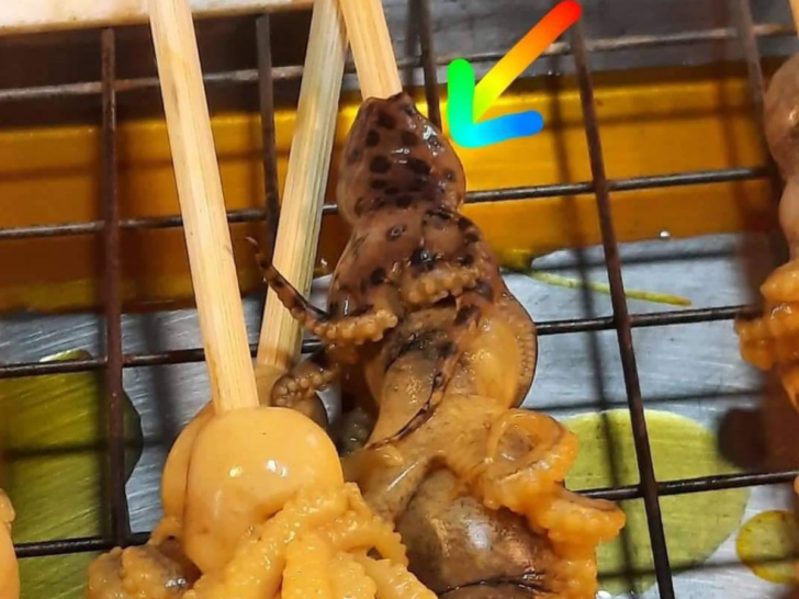 à¸à¸£à¸¡à¸—à¸£ à¸žà¸¢à¸²à¸à¸£à¸¯ à¹€à¸• à¸­à¸™ à¸¡ à¸œ à¸žà¸š à¸«à¸¡ à¸à¸šà¸¥ à¸£ à¸‡ à¹€à¸ª à¸¢à¸šà¹„à¸¡ à¸› à¸‡à¸‚à¸²à¸¢à¹ƒà¸™à¸•à¸¥à¸²à¸