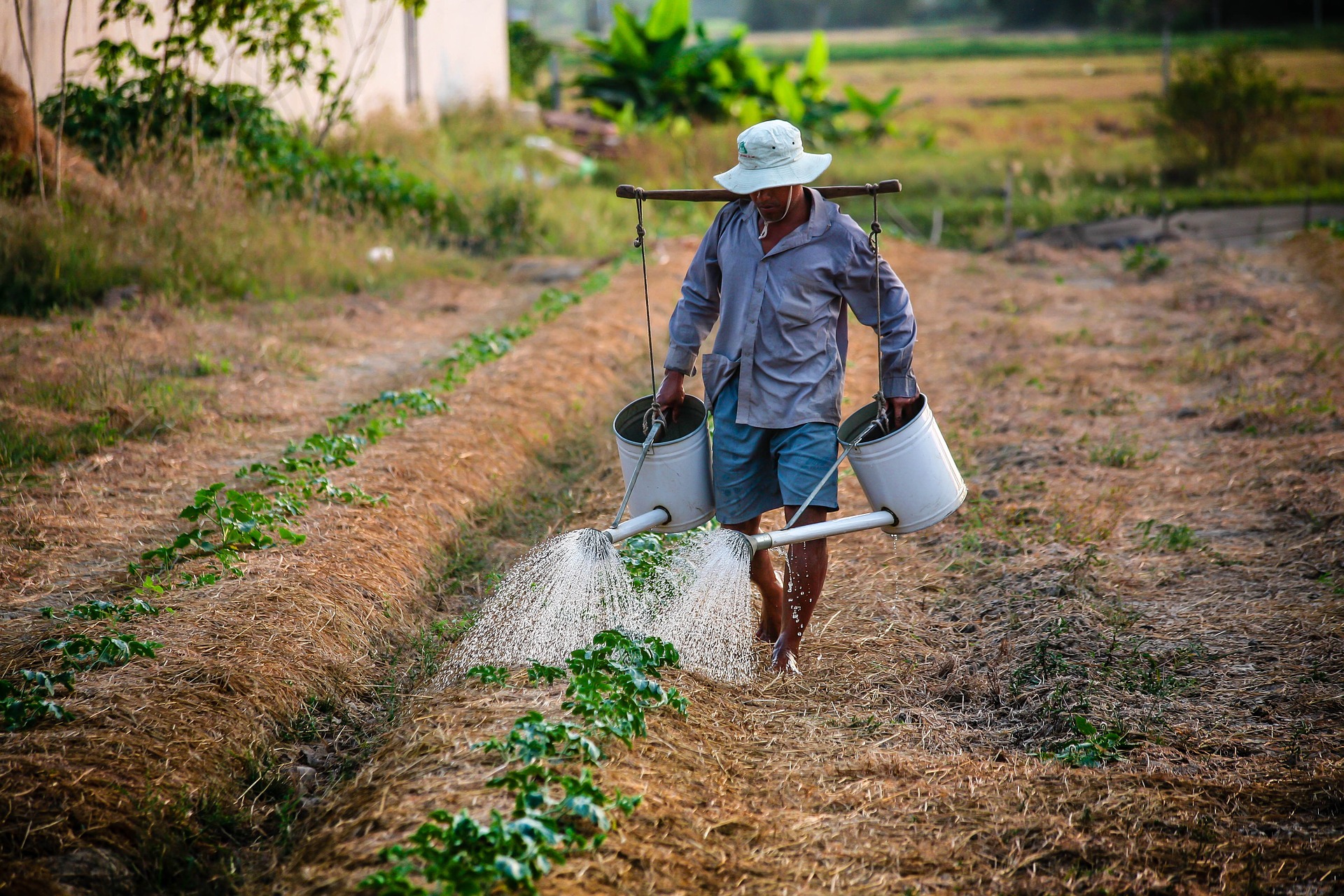 “พาณิชย์” ชี้ช่องโอกาสสินค้าเกษตรไทยในตลาดจีน-อินเดีย – เศรษฐกิจ