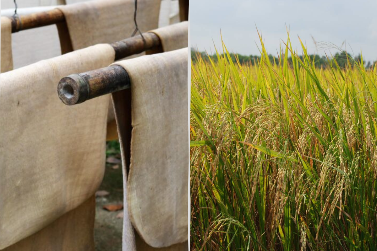 ครม.สัญจรภูเก็ตฟื้นเศรษฐกิจ-ขยายซอฟต์โลน อุ้มยาง-ข้าวเฉียดแสนล้าน