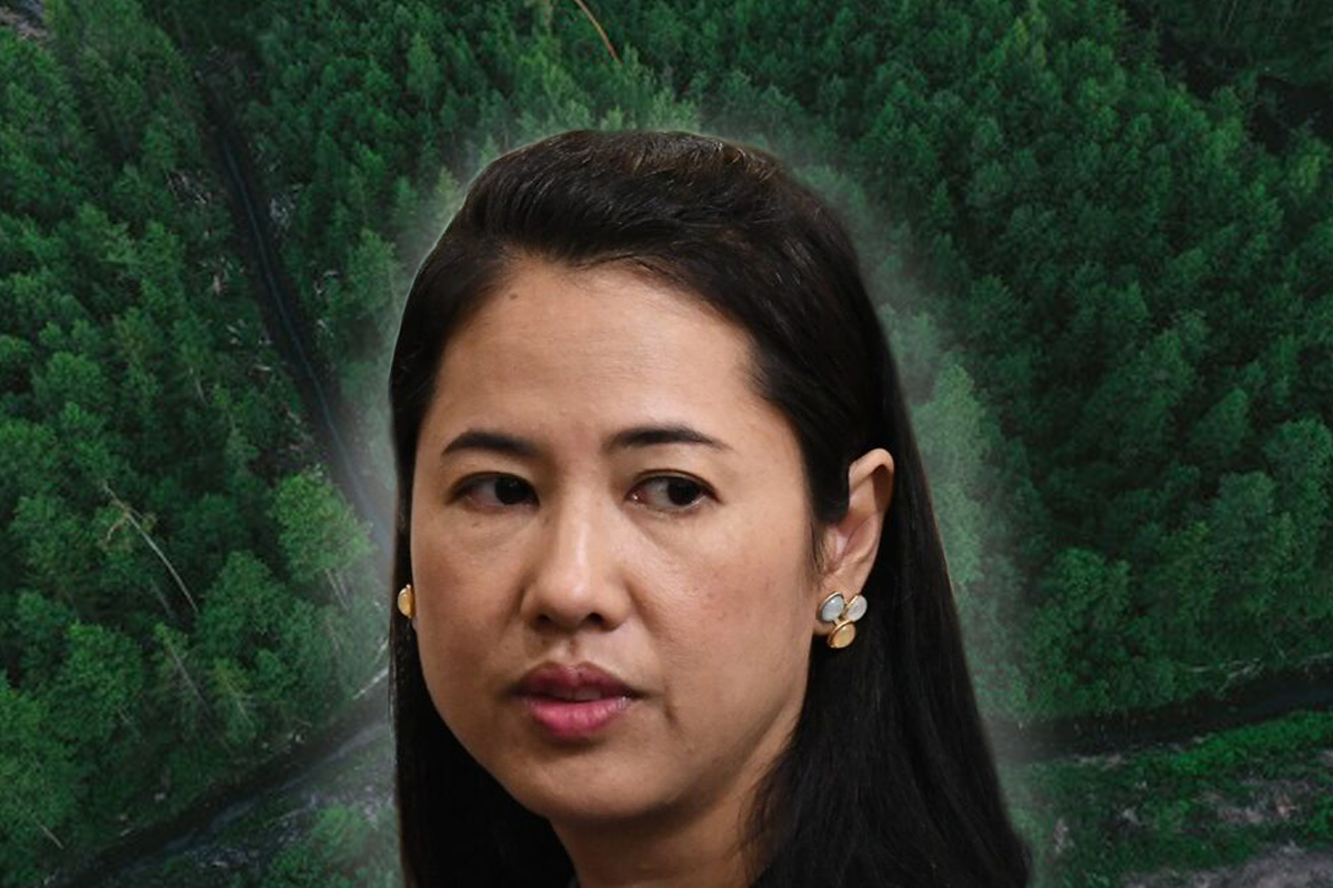ตำรวจสั่งฟ้อง “ปารีณา”  4 ข้อหา รุกป่า โทษจำคุก 20 ปี