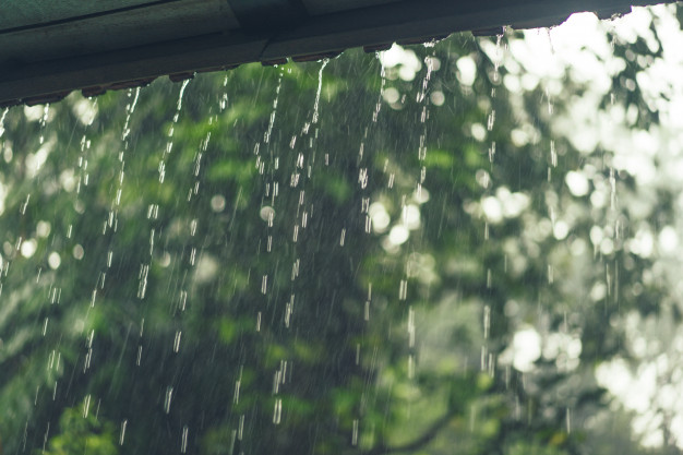 ฝนตก-พยากรณ์อากาศ ฝนตก-พยากรณ์อากาศ