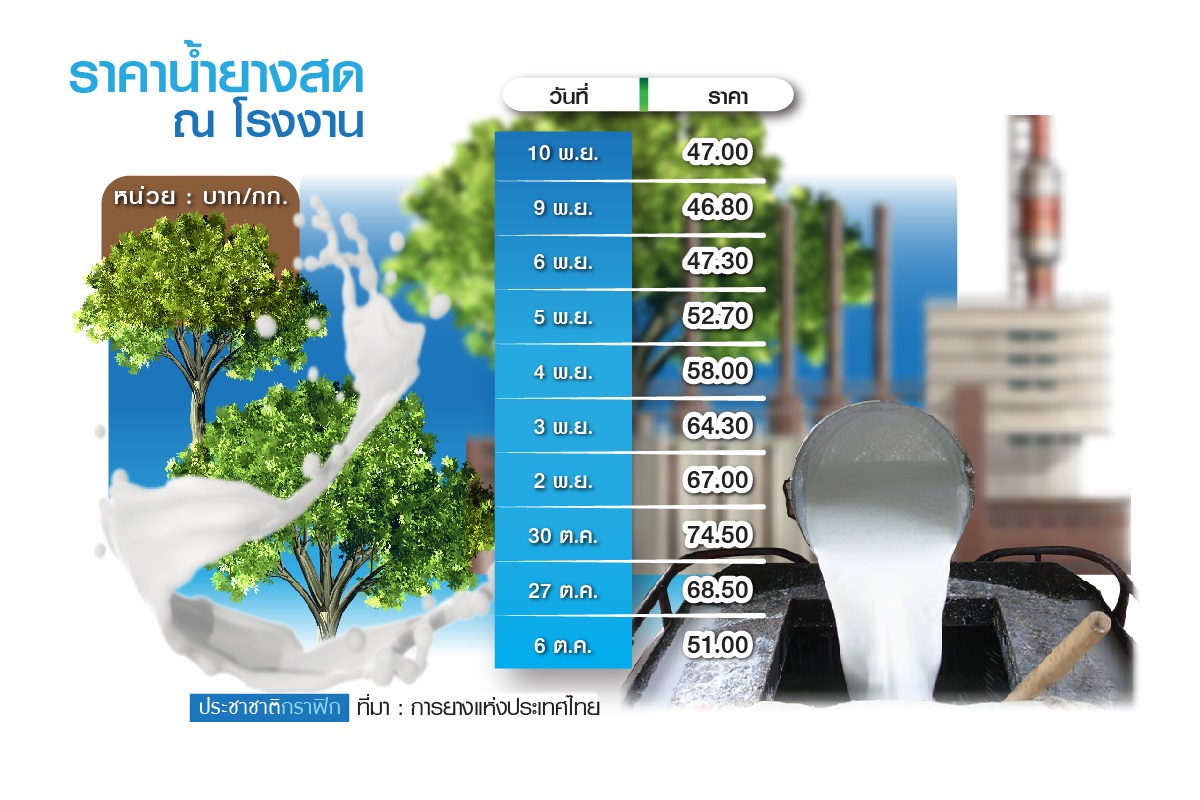 ยางราคาร่วง-ตาราง-กราฟิก