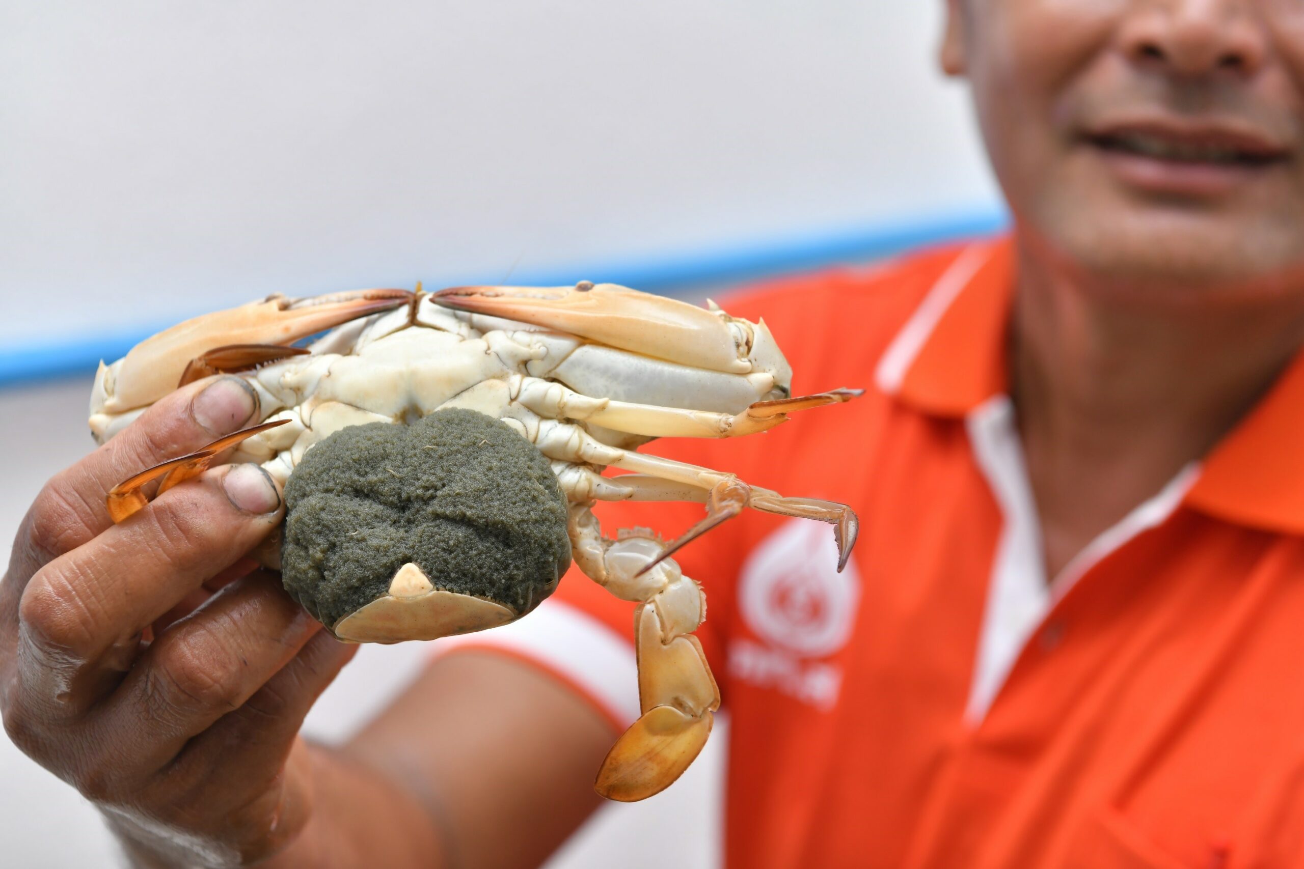 ปตท.สผ.MOU ร่วมกับกรมทะเล เดินหน้าโครงการอนุรักษ์ทะเลเพื่อชีวิต (Ocean for life)