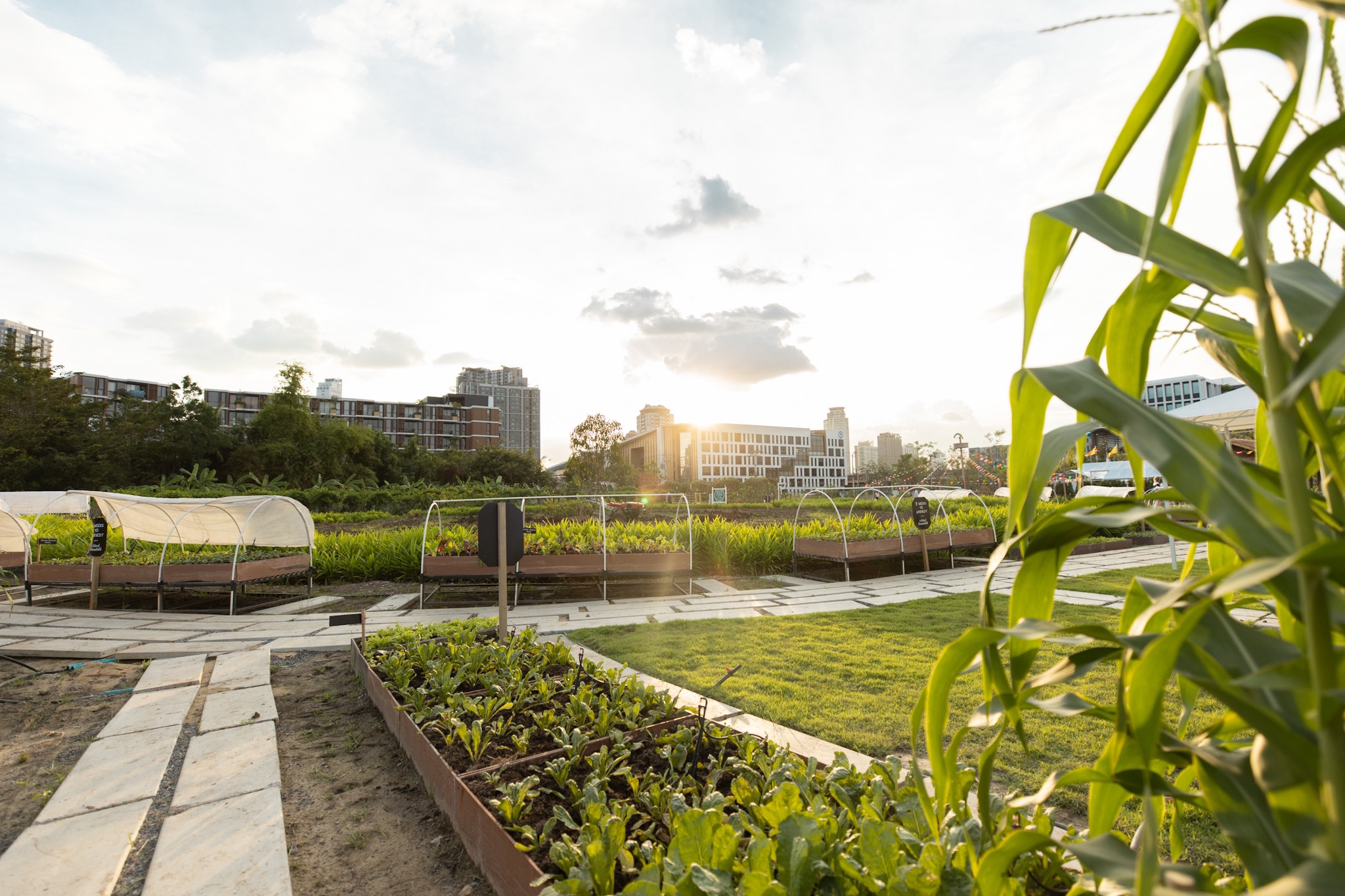 Sansiri Backyard Chul Farm