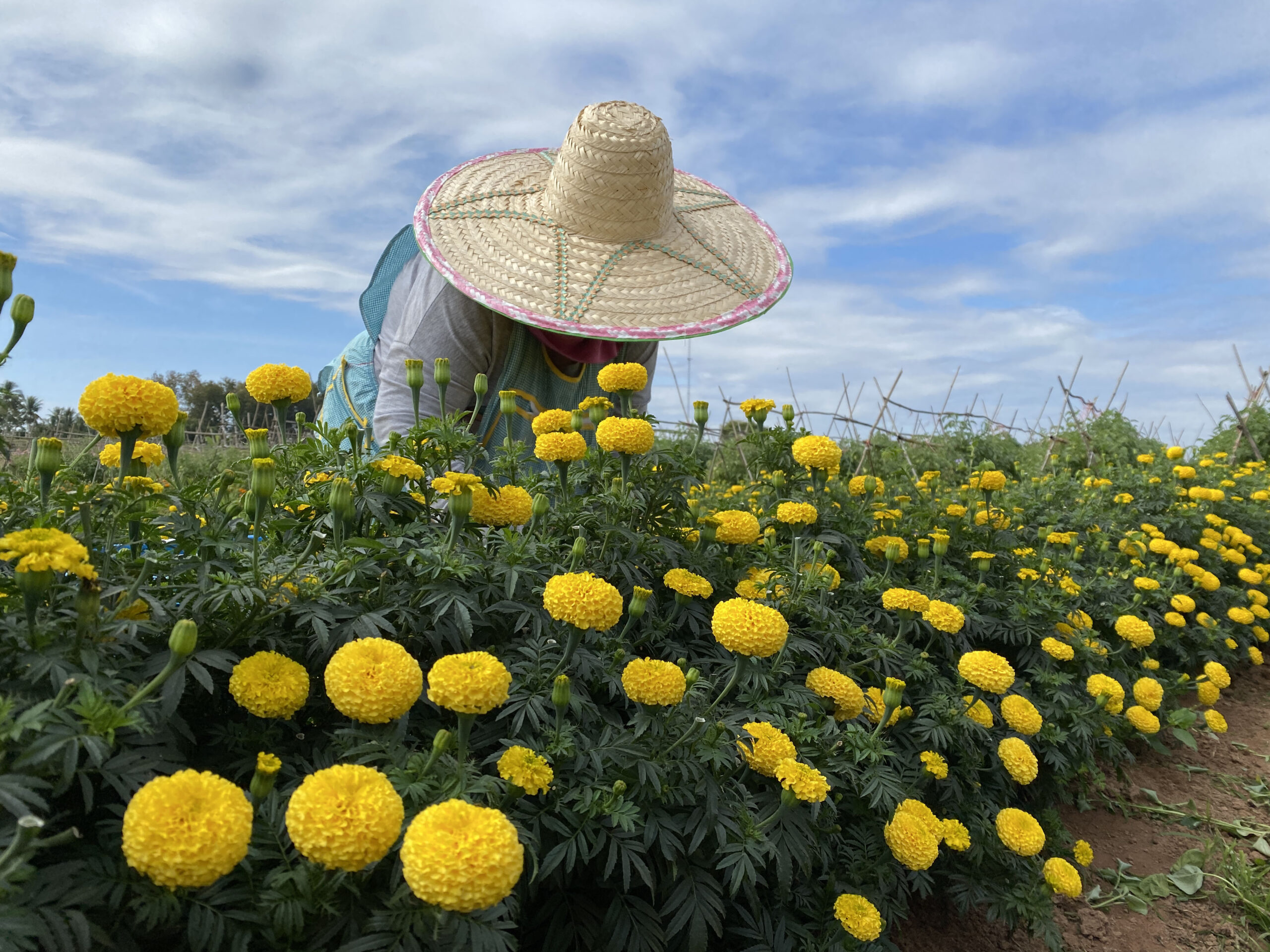 This image is not belong to us