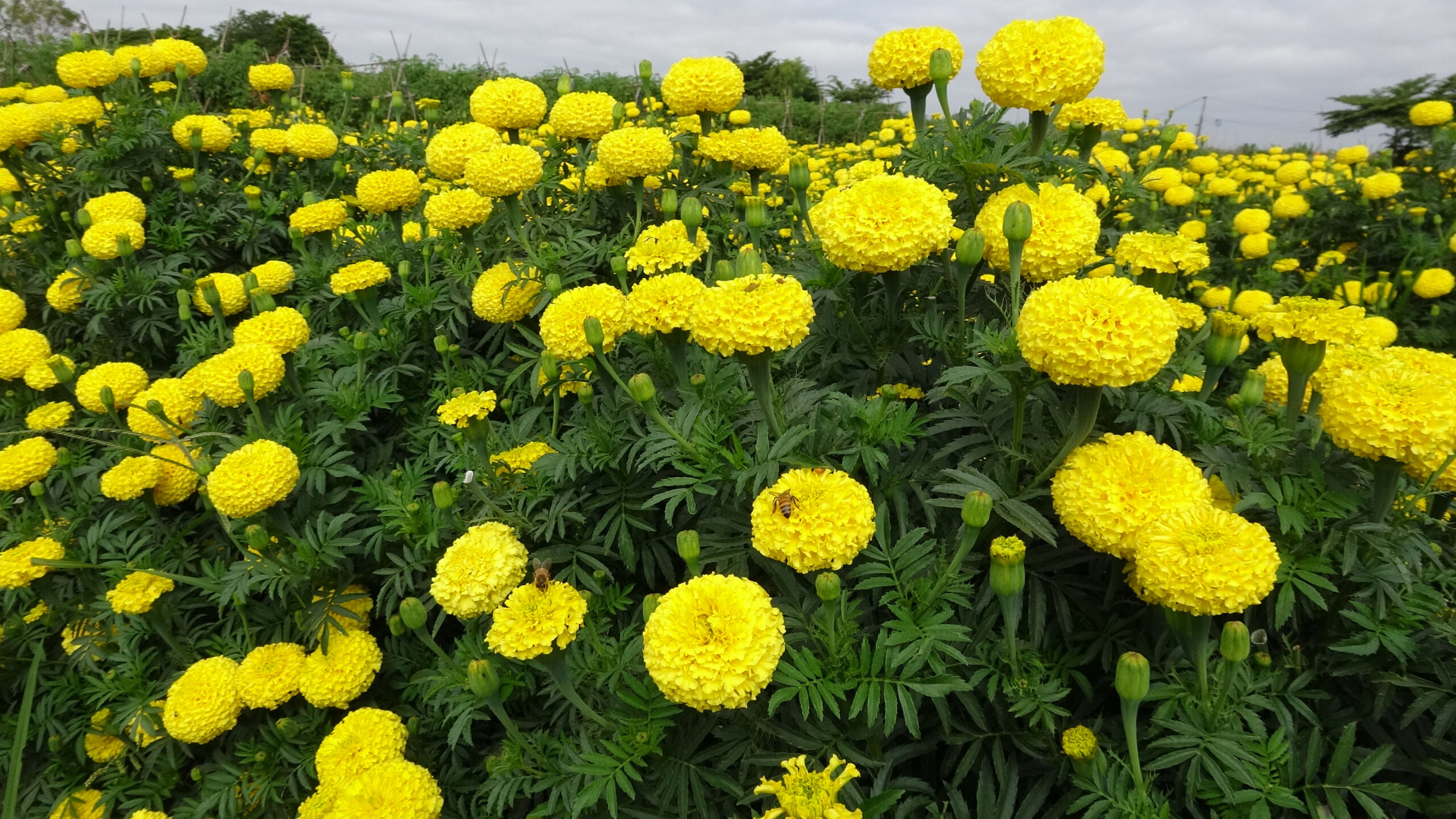 This image is not belong to us