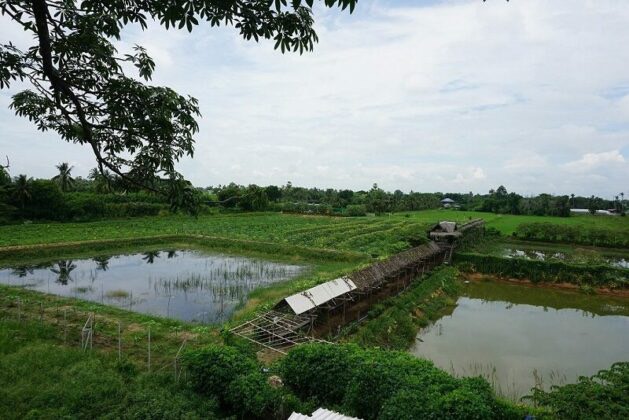 เกษตร