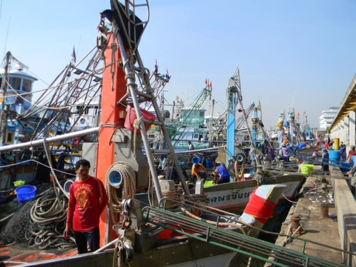 เรือประมง เรือประมง