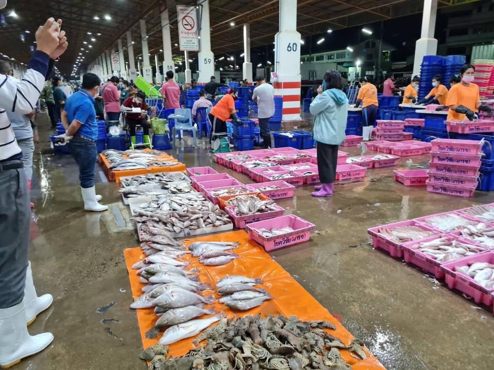 พ่อค้าแพปลาสมุทรสงคราม ร้องผู้ว่าฯ ขอปิดตลาดแม่กลอง 23 ธ.ค.-4 ม.ค.