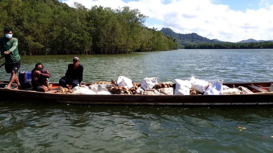 พบเมียนมา 7 คน ลักลอบใช้เรือขนยางพารา 3 ตันเข้าทาง จ.ระนอง