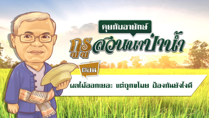 ตอนที่ 25 ผลไม้ออกเยอะ แต่ถูกขโมย ป้องกันยังไงดี (ปกคลิป)