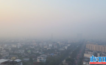 ฝุ่น PM 2.5 (3)