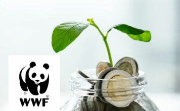 ภาพประกอบบทความ WWF - Featured Image