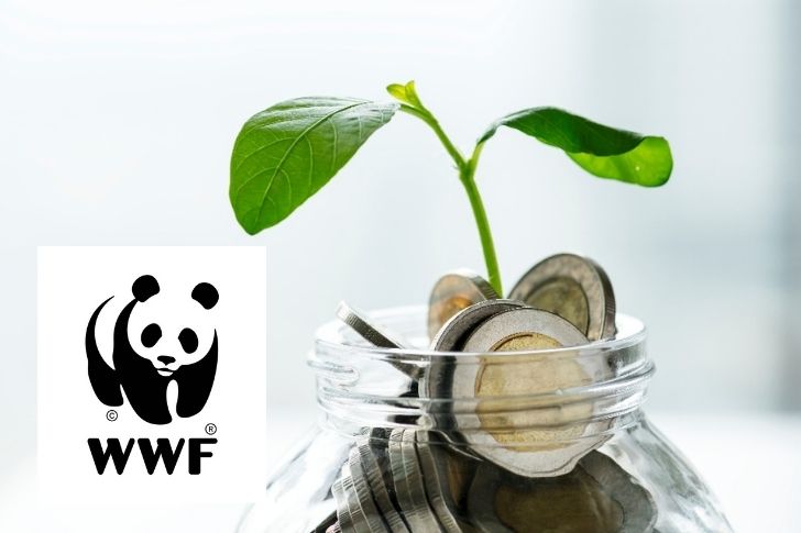 WWF เผยผลประเมินความยั่งยืนของธนาคาร 7 แบงก์พาณิชย์ไทยผ่านฉลุย!