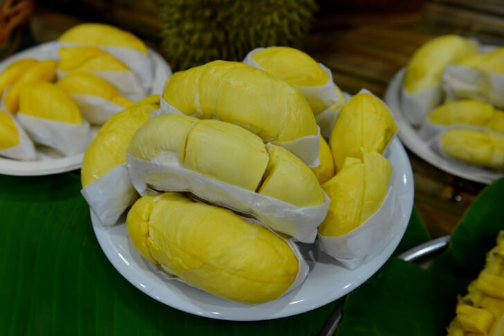 ทุเรียน ทุเรียน