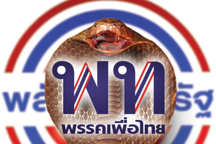 08-3งูเห่า