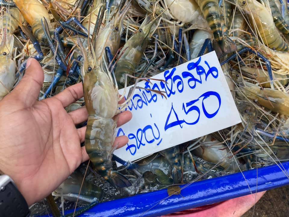 สมุทรสาคร จ่อเปิดตลาดกุ้ง 26 ม.ค. รองผู้ว่าฯเผยถ้าเป็นไปตามแผน