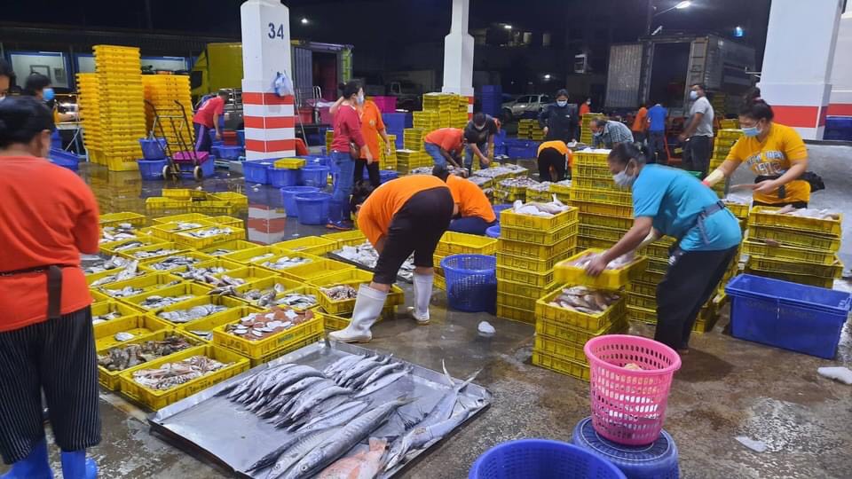 สมุทรสงครามเปิด “ตลาดปลาสหกรณ์ประมงแม่กลอง” วันแรกวางมาตรการเข้มสกัดโควิด