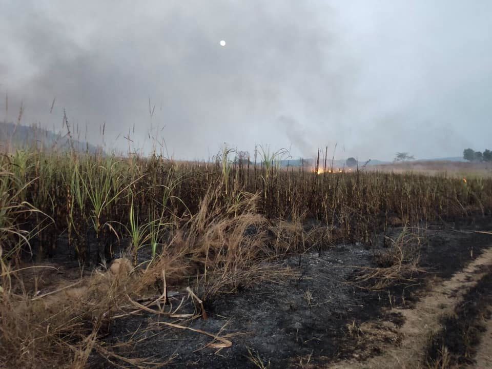 จุดความร้อนไทย 1,215 จุด ค่าฝุ่น PM2.5 เกินมาตรฐานเกือบ 60 จังหวัด